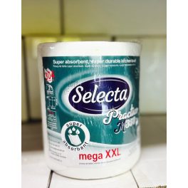 Selecta Practico 2 rétegű papír törlő 304 lapos